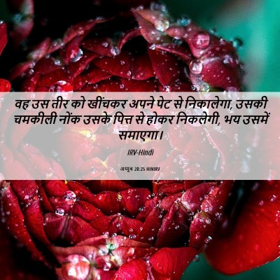 Picture 06 - अय्यूब 20:25 HINIRV - वह उस तीर को खींचकर - Bible Verse Picture