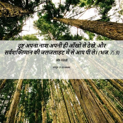 Picture 06 - अय्यूब 21:20 HINIRV - दुष्ट अपना नाश - Bible Verse Picture