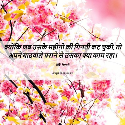 Picture 06 - अय्यूब 21:21 HINIRV - क्योंकि जब उसके - Bible Verse Picture