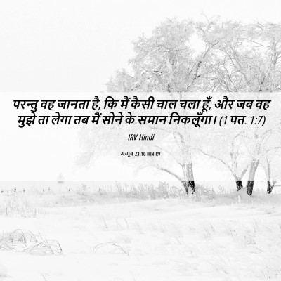 Picture 06 - अय्यूब 23:10 HINIRV - परन्तु वह जानता है, - Bible Verse Picture