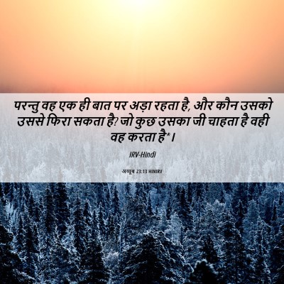 Picture 06 - अय्यूब 23:13 HINIRV - परन्तु वह एक ही बात - Bible Verse Picture