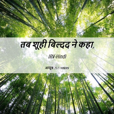 Picture 06 - अय्यूब 25:1 HINIRV - तब शूही बिल्दद ने - Bible Verse Picture