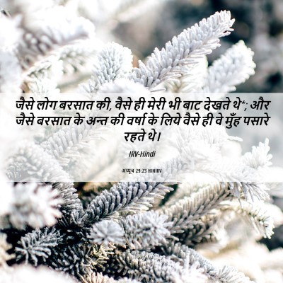 Picture 06 - अय्यूब 29:23 HINIRV - जैसे लोग बरसात की, - Bible Verse Picture