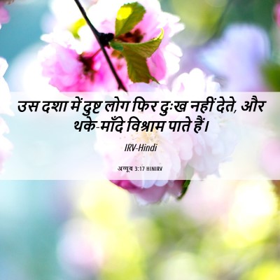 Picture 06 - अय्यूब 3:17 HINIRV - उस दशा में दुष्ट - Bible Verse Picture