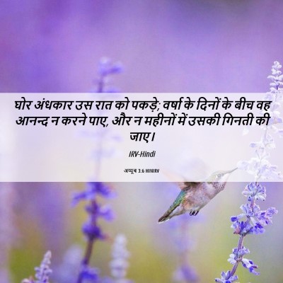 Picture 06 - अय्यूब 3:6 HINIRV - घोर अंधकार उस रात - Bible Verse Picture