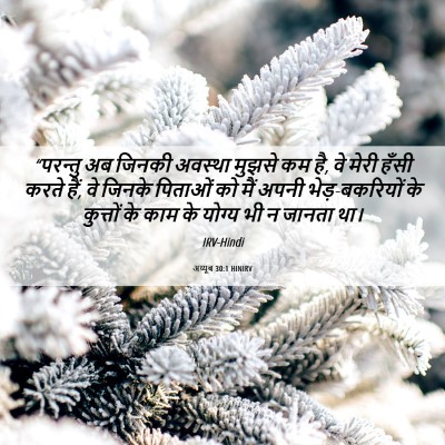 Picture 06 - अय्यूब 30:1 HINIRV - “परन्तु अब जिनकी - Bible Verse Picture