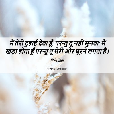 Picture 06 - अय्यूब 30:20 HINIRV - मैं तेरी दुहाई - Bible Verse Picture