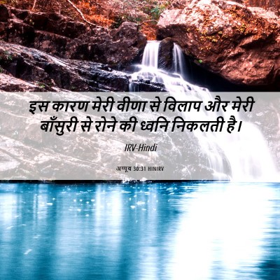 Picture 06 - अय्यूब 30:31 HINIRV - इस कारण मेरी वीणा - Bible Verse Picture