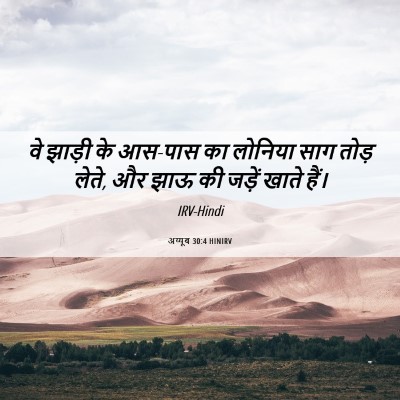 Picture 06 - अय्यूब 30:4 HINIRV - वे झाड़ी के आस-पास - Bible Verse Picture