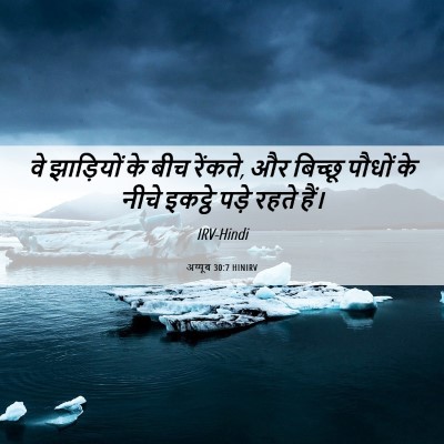 Picture 06 - अय्यूब 30:7 HINIRV - वे झाड़ियों के बीच - Bible Verse Picture