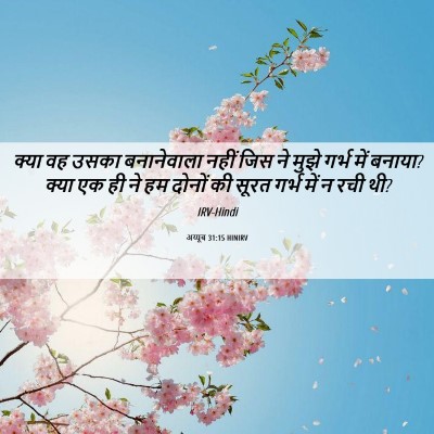 Picture 06 - अय्यूब 31:15 HINIRV - क्या वह उसका - Bible Verse Picture