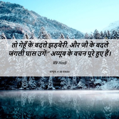 Picture 06 - अय्यूब 31:40 HINIRV - तो गेहूँ के बदले - Bible Verse Picture