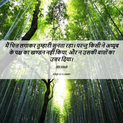 Picture 06 - अय्यूब 32:12 HINIRV - मैं चित्त लगाकर - Bible Verse Picture