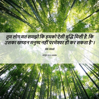 Picture 06 - अय्यूब 32:13 HINIRV - तुम लोग मत समझो कि - Bible Verse Picture