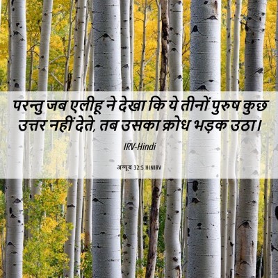 Picture 06 - अय्यूब 32:5 HINIRV - परन्तु जब एलीहू ने - Bible Verse Picture