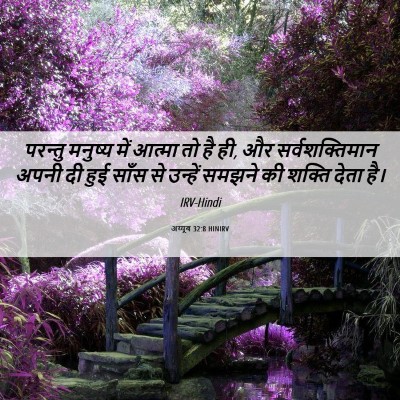 Picture 06 - अय्यूब 32:8 HINIRV - परन्तु मनुष्य में - Bible Verse Picture
