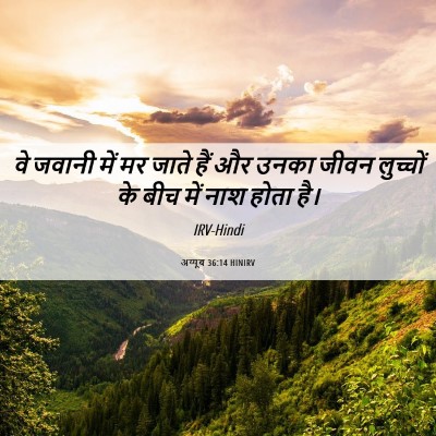 Picture 06 - अय्यूब 36:14 HINIRV - वे जवानी में मर - Bible Verse Picture