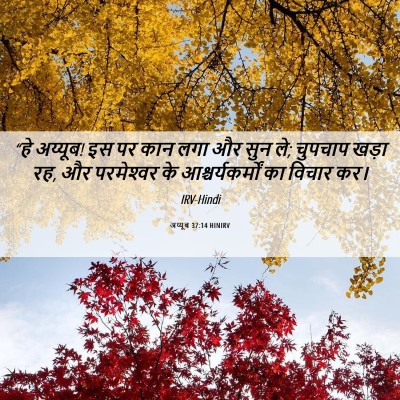 Picture 06 - अय्यूब 37:14 HINIRV - “हे अय्यूब! इस पर - Bible Verse Picture