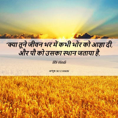 Picture 06 - अय्यूब 38:12 HINIRV - “क्या तूने जीवन भर - Bible Verse Picture