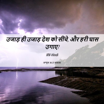 Picture 06 - अय्यूब 38:27 HINIRV - उजाड़ ही उजाड़ देश - Bible Verse Picture