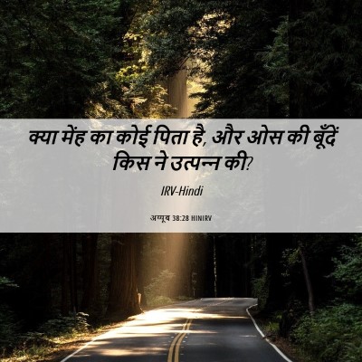 Picture 06 - अय्यूब 38:28 HINIRV - क्या मेंह का कोई - Bible Verse Picture