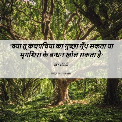Picture 06 - अय्यूब 38:31 HINIRV - “क्या तू कचपचिया - Bible Verse Picture