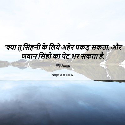 Picture 06 - अय्यूब 38:39 HINIRV - “क्या तू सिंहनी के - Bible Verse Picture