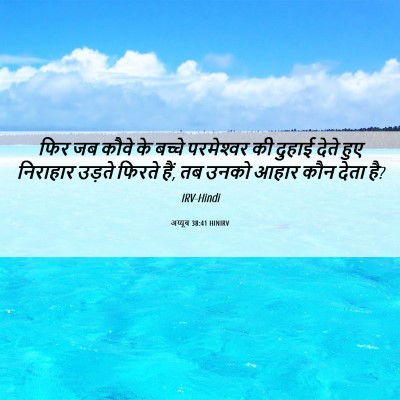 Picture 06 - अय्यूब 38:41 HINIRV - फिर जब कौवे के - Bible Verse Picture