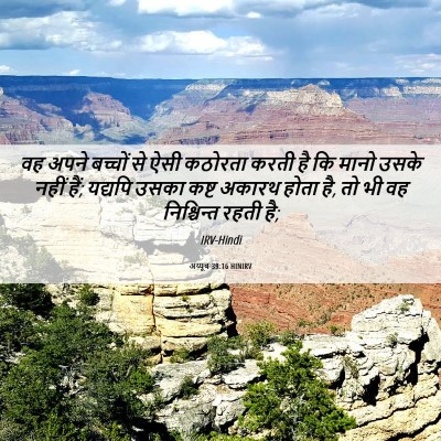 Picture 06 - अय्यूब 39:16 HINIRV - वह अपने बच्चों से - Bible Verse Picture