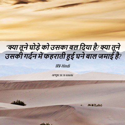 Picture 06 - अय्यूब 39:19 HINIRV - “क्या तूने घोड़े - Bible Verse Picture