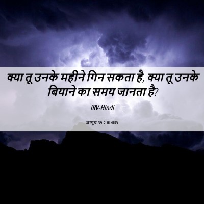 Picture 06 - अय्यूब 39:2 HINIRV - क्या तू उनके महीने - Bible Verse Picture