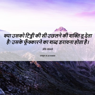 Picture 06 - अय्यूब 39:20 HINIRV - क्या उसको टिड्डी - Bible Verse Picture