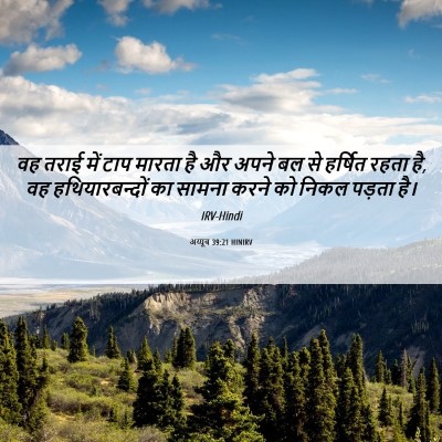 Picture 06 - अय्यूब 39:21 HINIRV - वह तराई में टाप - Bible Verse Picture
