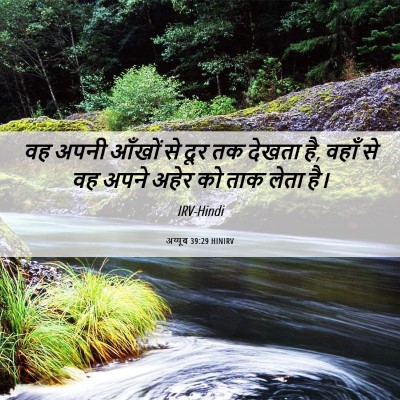 Picture 06 - अय्यूब 39:29 HINIRV - वह अपनी आँखों से - Bible Verse Picture