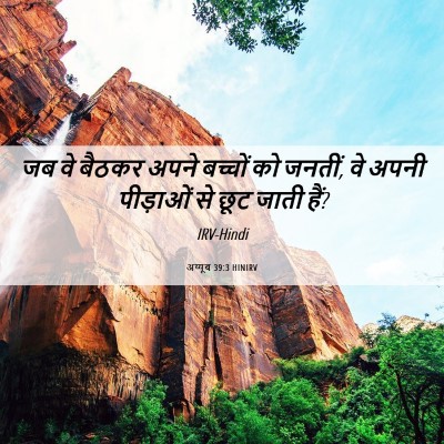 Picture 06 - अय्यूब 39:3 HINIRV - जब वे बैठकर अपने - Bible Verse Picture