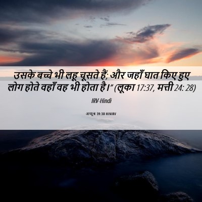Picture 06 - अय्यूब 39:30 HINIRV - उसके बच्चे भी लहू - Bible Verse Picture