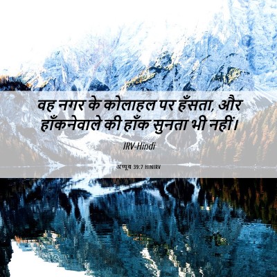 Picture 06 - अय्यूब 39:7 HINIRV - वह नगर के कोलाहल पर - Bible Verse Picture