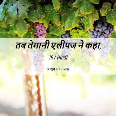 Picture 06 - अय्यूब 4:1 HINIRV - तब तेमानी एलीपज ने - Bible Verse Picture