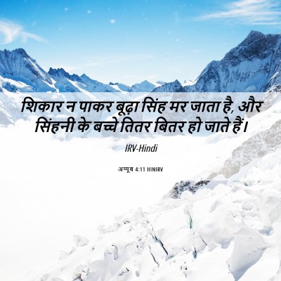 Picture 06 - अय्यूब 4:11 HINIRV - शिकार न पाकर बूढ़ा - Bible Verse Picture