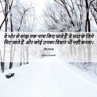 Picture 06 - अय्यूब 4:20 HINIRV - वे भोर से सांझ तक - Bible Verse Picture