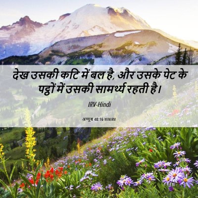 Picture 06 - अय्यूब 40:16 HINIRV - देख उसकी कटि में बल - Bible Verse Picture