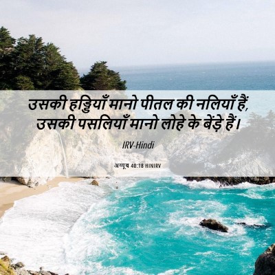 Picture 06 - अय्यूब 40:18 HINIRV - उसकी हड्डियाँ - Bible Verse Picture