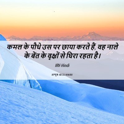 Picture 06 - अय्यूब 40:22 HINIRV - कमल के पौधे उस पर - Bible Verse Picture