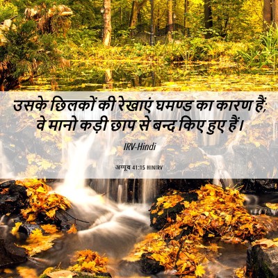 Picture 06 - अय्यूब 41:15 HINIRV - उसके छिलकों की - Bible Verse Picture