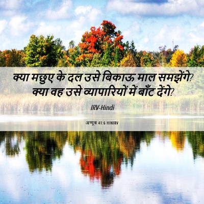 Picture 06 - अय्यूब 41:6 HINIRV - क्या मछुए के दल उसे - Bible Verse Picture