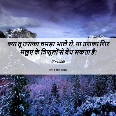 Picture 06 - अय्यूब 41:7 HINIRV - क्या तू उसका चमड़ा - Bible Verse Picture
