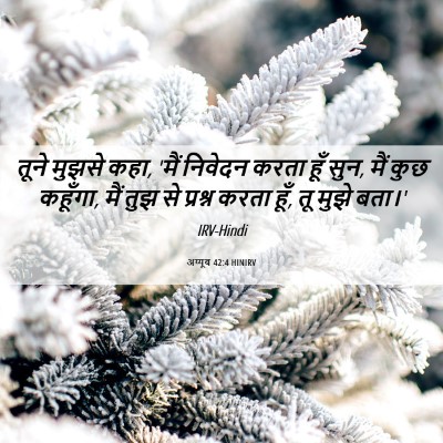 Picture 06 - अय्यूब 42:4 HINIRV - तूने मुझसे कहा, - Bible Verse Picture