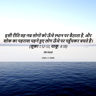 Picture 06 - अय्यूब 5:11 HINIRV - इसी रीति वह नम्र - Bible Verse Picture