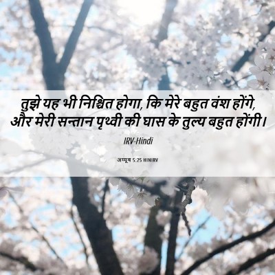 Picture 06 - अय्यूब 5:25 HINIRV - तुझे यह भी निश्चित - Bible Verse Picture