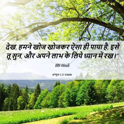 Picture 06 - अय्यूब 5:27 HINIRV - देख, हमने खोज खोजकर - Bible Verse Picture
